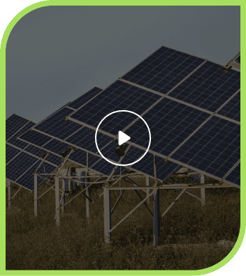 Multiple solar panels generating renewable energy.