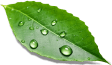 Avaada sustainability and clean energy transition graphic